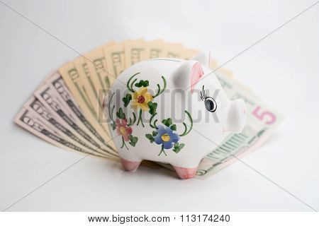 Piggy bank and US Dollar bills