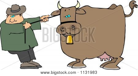 Mucca tirando