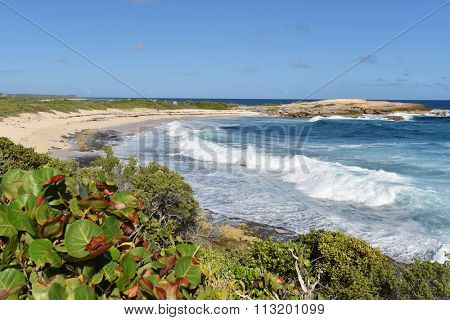 La pointe des chateaux, guadeloupe