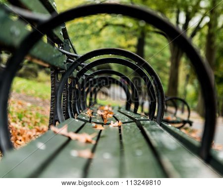 Through the loops of park bench