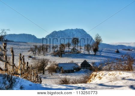 Frozen Sunny Day Of A Winter, On Wild Transylvania Hills. Holbav. Romania. Low Key, Dark Background,