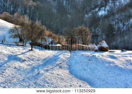 Frozen Sunny Day Of A Winter, On Wild Transylvania Hills. Holbav. Romania. Low Key, Dark Background,