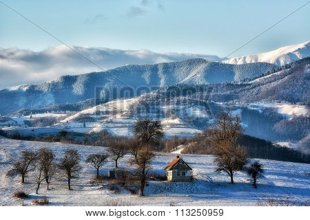 Frozen Sunny Day Of A Winter, On Wild Transylvania Hills. Holbav. Romania. Low Key, Dark Background,