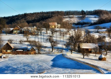 Frozen Sunny Day Of A Winter, On Wild Transylvania Hills. Holbav. Romania. Low Key, Dark Background,