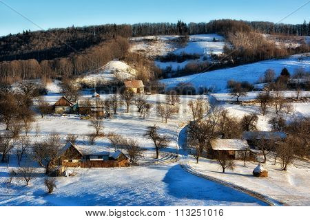 Frozen Sunny Day Of A Winter, On Wild Transylvania Hills. Holbav. Romania. Low Key, Dark Background,