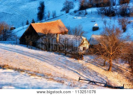 Frozen Sunny Day Of A Winter, On Wild Transylvania Hills. Holbav. Romania. Low Key, Dark Background,