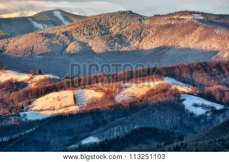 Frozen Sunny Day Of A Winter, On Wild Transylvania Hills. Holbav. Romania. Low Key, Dark Background,