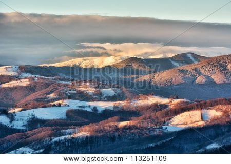 Frozen Sunny Day Of A Winter, On Wild Transylvania Hills. Holbav. Romania. Low Key, Dark Background,