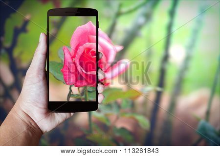 Modern Mobile Phone In The Hand.