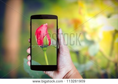 Modern Mobile Phone In The Hand.