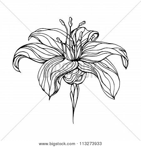Abstract flower