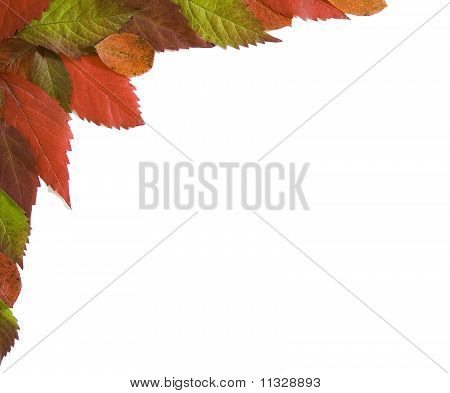 Herbst-Frame 01
