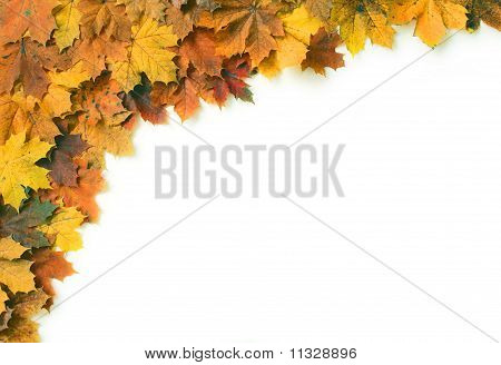 Herbst-Bild 04