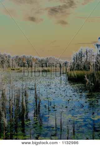 Paisaje negativo 1