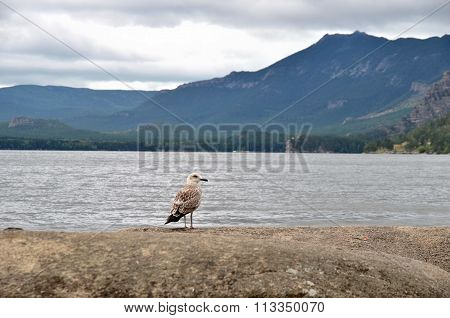 Lake Borovoe, State National Natural Park 