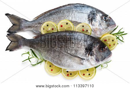 Dorada Fish With Lemon