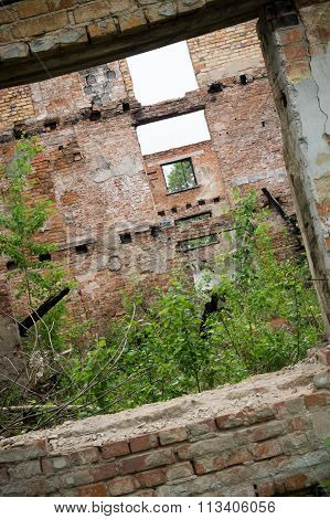Grunge Abandoned House