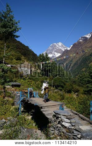 Porters are carrying load over bridge