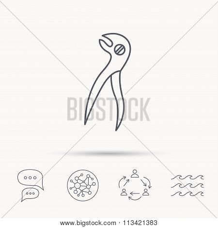 Dental pliers icon. Stomatological forceps tool.