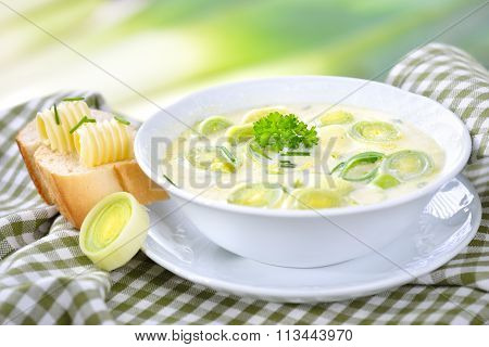 Vegetarian cheese and leek soup