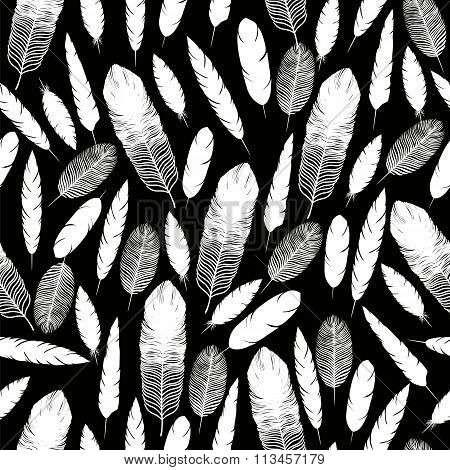 feathers