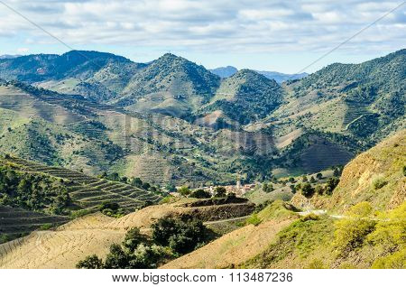 Rural Landscape In The Priorat, Spain