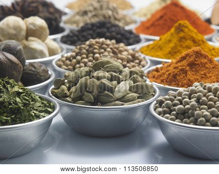 group of spices on the white background