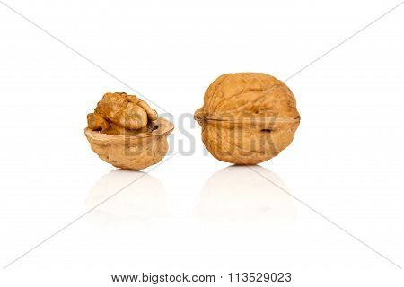 walnuts on a white background