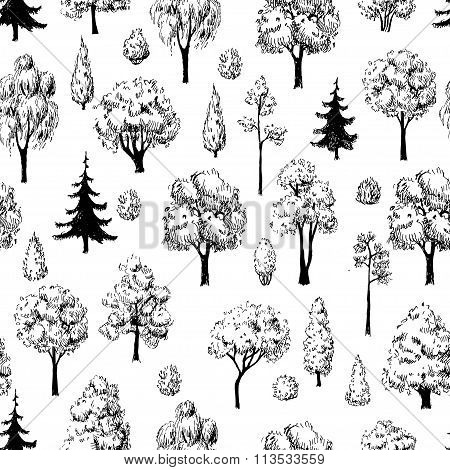 Seamless Hand Drawn Tree Sketches Pattern.