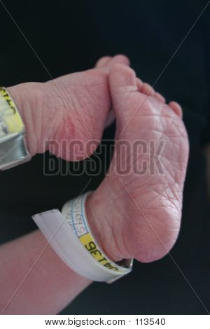 Baby Feet