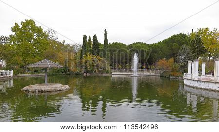 Pond In The City