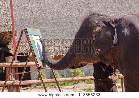 Elephant Show In Thailand.