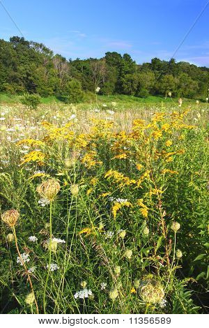 Shabbon Lake State Park