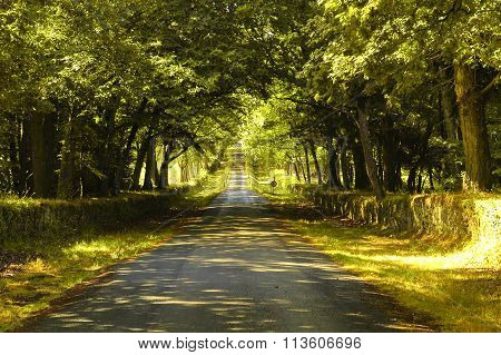 Carnac (brittany, France): Road