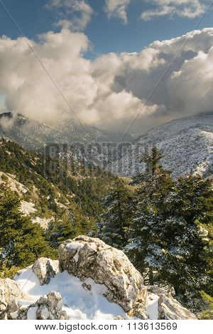 Top view of Parnitha mountain in Greece. A beautiful landscape.