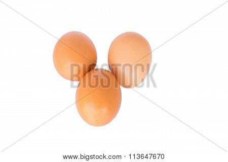 Eggs on a white background