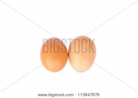 Eggs on a white background