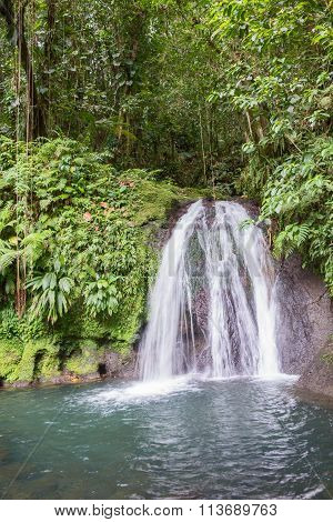 Beautiful waterfall in a rainforest. Cascades aux Ecrevisses