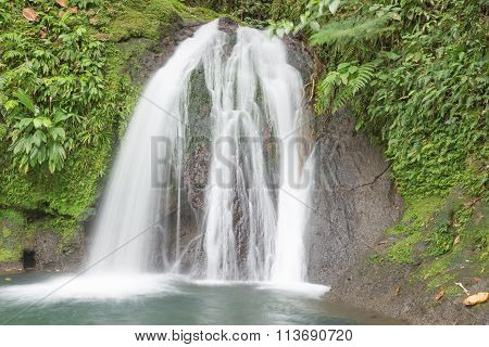 Beautiful waterfall in a rainforest. Cascades aux Ecrevisses