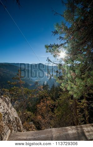 Austrian Landscape
