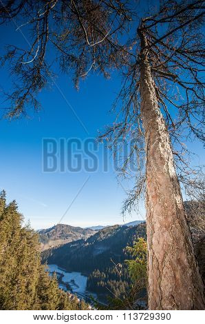 Austrian Landscape