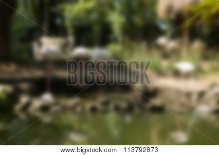 Bird park Bali Indonesia Travel theme blur background