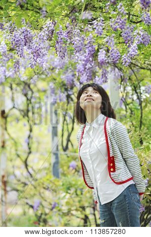 Wisteria Floribunda With Nice Color And Background