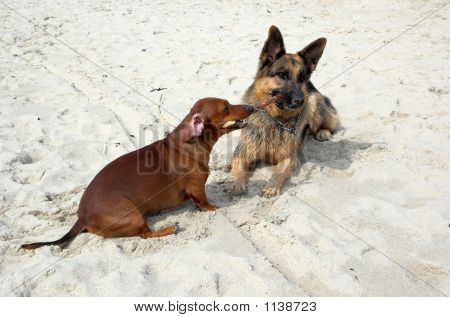 Lana & Pirat