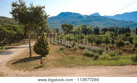 Balearic Islands Mediterranean Architecture Of Mallorca, Finca