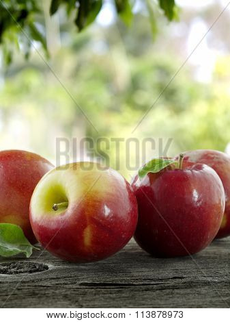 apples