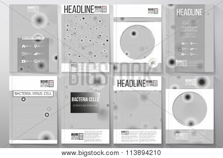 Set of business templates for brochure, flyer or booklet. Molecular research, cells in gray, science