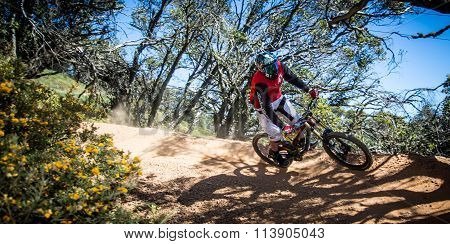 Mountain Bike Riders at Mt Buller
