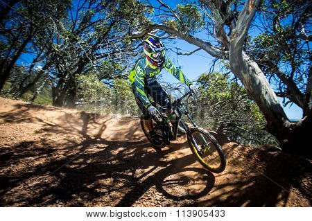 Mountain Bike Riders at Mt Buller