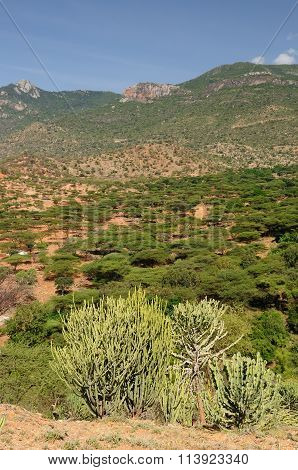 Village Of South Horr Is Set In A Verdant Canyon Surrounded By Dramatic Mountain Peaks